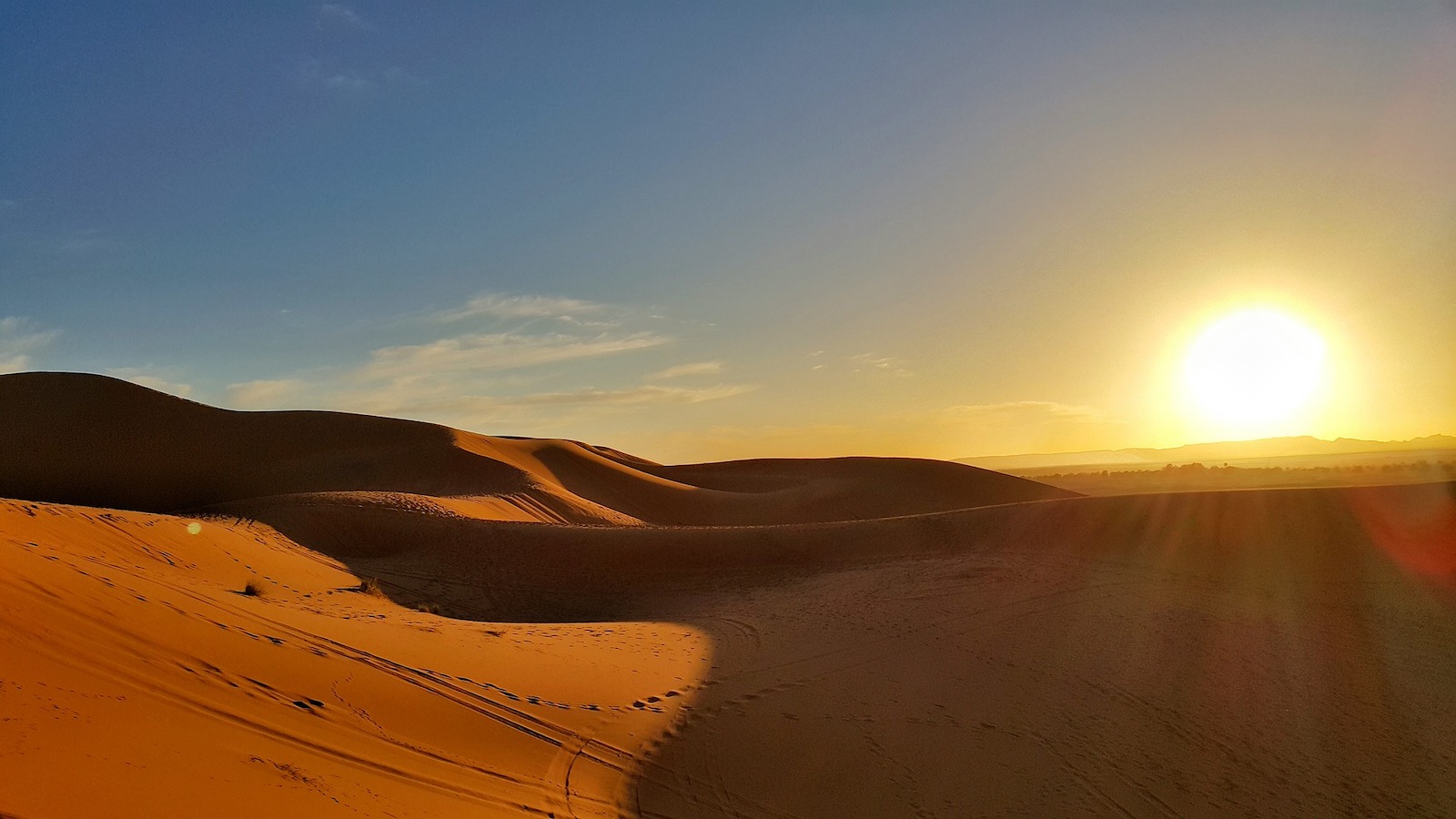 Sahara-Sommer macht MSler fertig